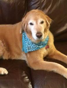 In Memoriam, Abbi